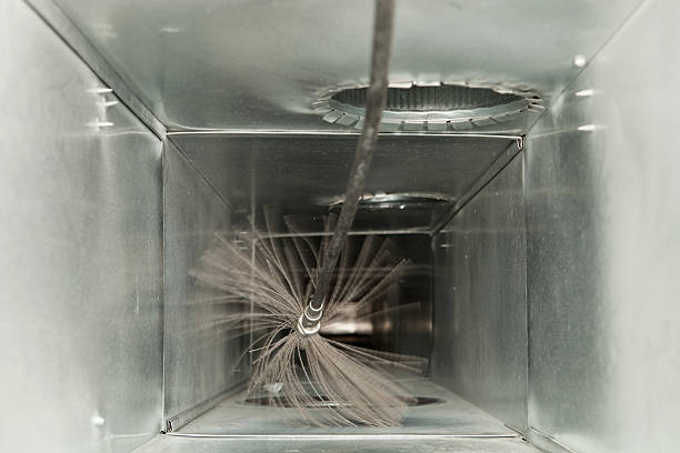 Best Local Air Duct Cleaning Services  in Egan, LA